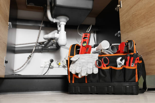 Best Same-Day Plumbing Service  in Glespie, IL