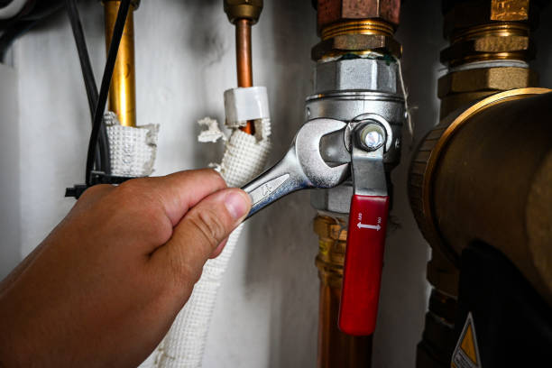 Best Shower Repair Services  in Glespie, IL